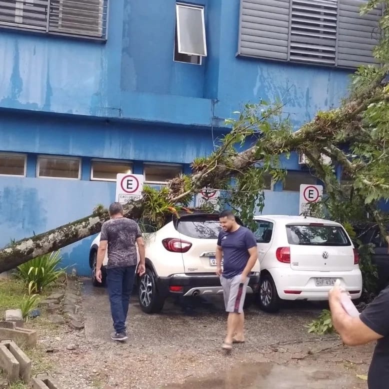 &Aacute;rvores caem em cima de carros de pacientes no Hospital Regional de Joinville – Foto: reprodu&ccedil;&atilde;o
