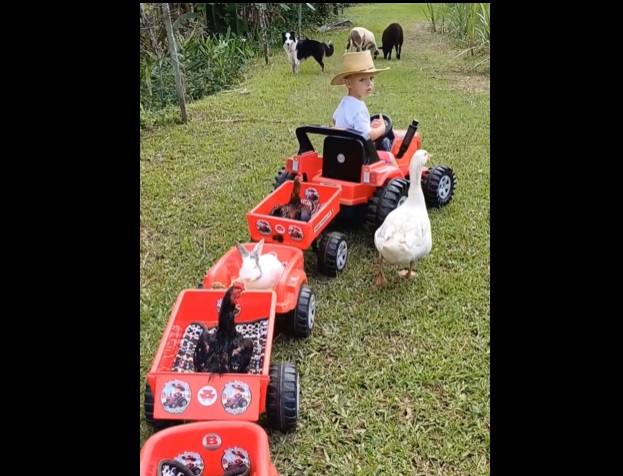 Beb&ecirc; Campeiro mostra sua nova carreta de brinquedo – Foto: Reprodu&ccedil;&atilde;o/Instagram