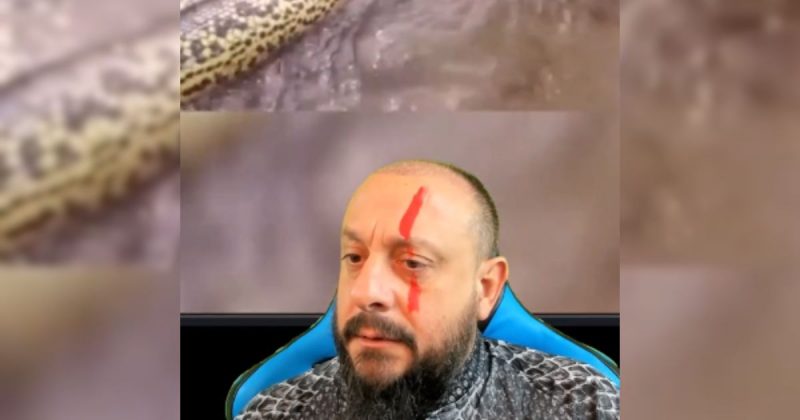 Registro de vídeo do biólogo Henrique falando sobre o registro da sucuri 