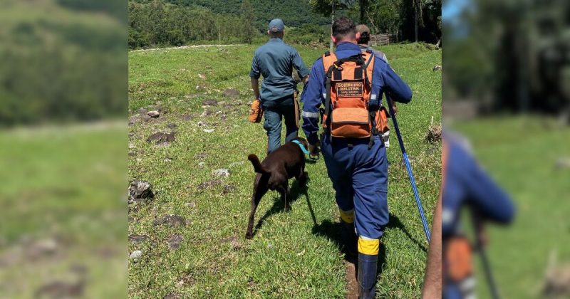 Cão Bono auxilia nas buscas pelo idoso &#8211; Foto: Corpo de Bombeiros/Divulgação/ND