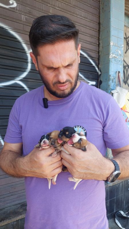 A shocking scene attracted the attention of the residents of Benfica in the northern zone of Rio de Janeiro this Tuesday (14).  Twenty dogs, seven adults and 13 puppies, were found tied to two shopping carts in the blazing sun, without water or food.  The animals suffered from hyperthermia and dehydration and had to be urgently rescued.  – Photo: Disclosure/ND