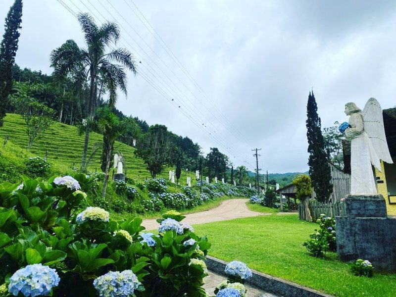 No trajeto, você passará pelo Caminho dos Anjos, um conjunto de estátuas de anjos e de Cristo, no interior de Rodeio - Redes Sociais