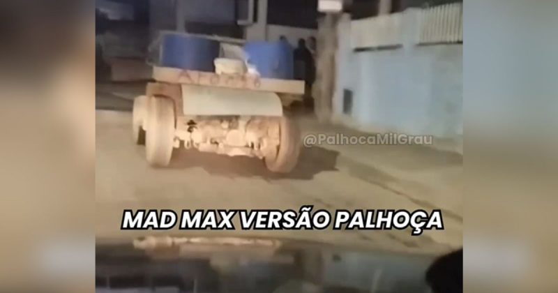 O registro j&aacute; possui mais de 30 mil visualiza&ccedil;&otilde;es at&eacute; a manh&atilde; desta ter&ccedil;a-feira – Foto: palhocamilgrau/Reprodu&ccedil;&atilde;o/ND