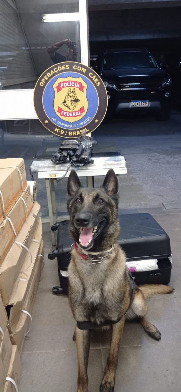 PF dog helped identify drugs in a suitcase - PFRS/Reproduction/ND