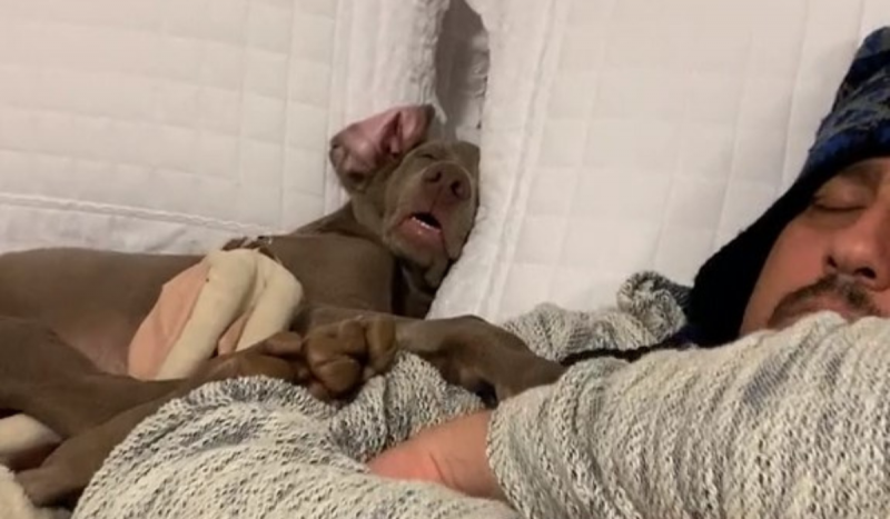 Tutor aparece espremido ao lado do cachorro