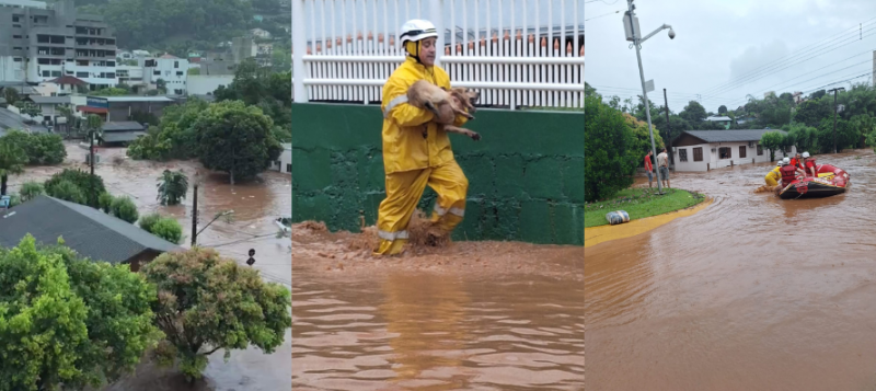 Chuva em Santa Catarina gera estragos no Estado