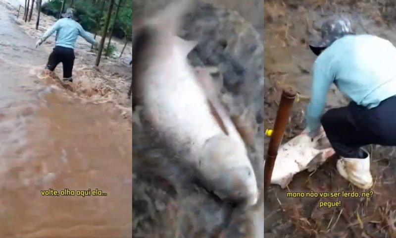 V&iacute;deo mostra casal tentando pegar o peixe enorme – Foto: Reprodu&ccedil;&atilde;o/ND
