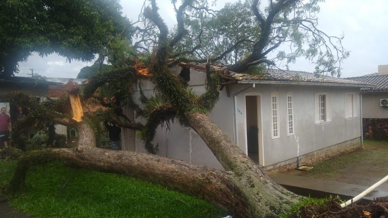 Casa foi atingida por &aacute;rvore ap&oacute;s passagem de vendaval no Sul do Estado – Foto: Corpo de Bombeiros/Reprodu&ccedil;&atilde;o/ND