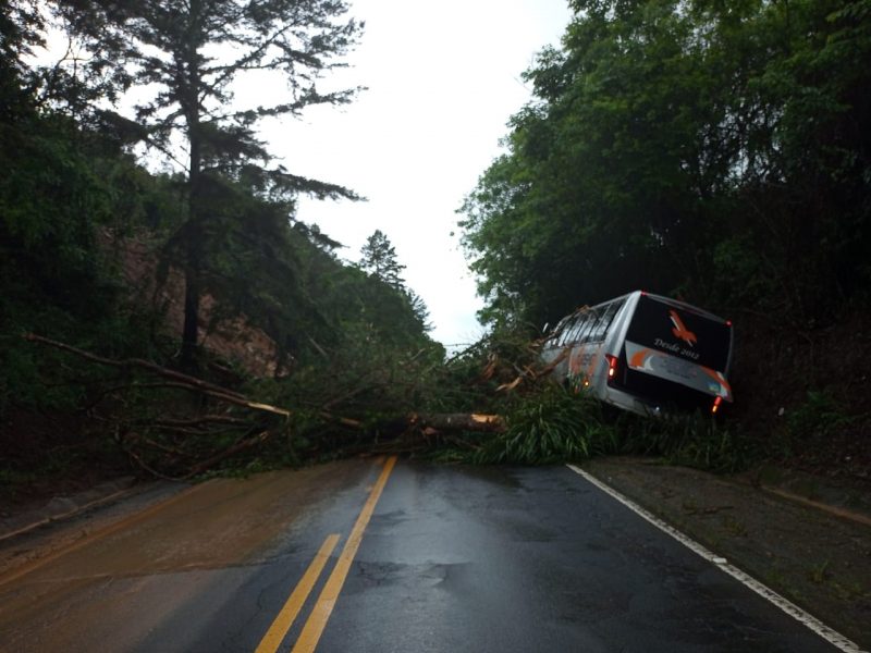 Deslizamento assusta moradores 