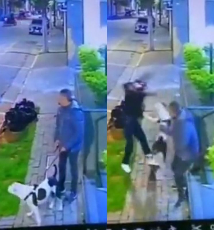 Print do vídeo que mostra cachorro colocando assaltantes para correr