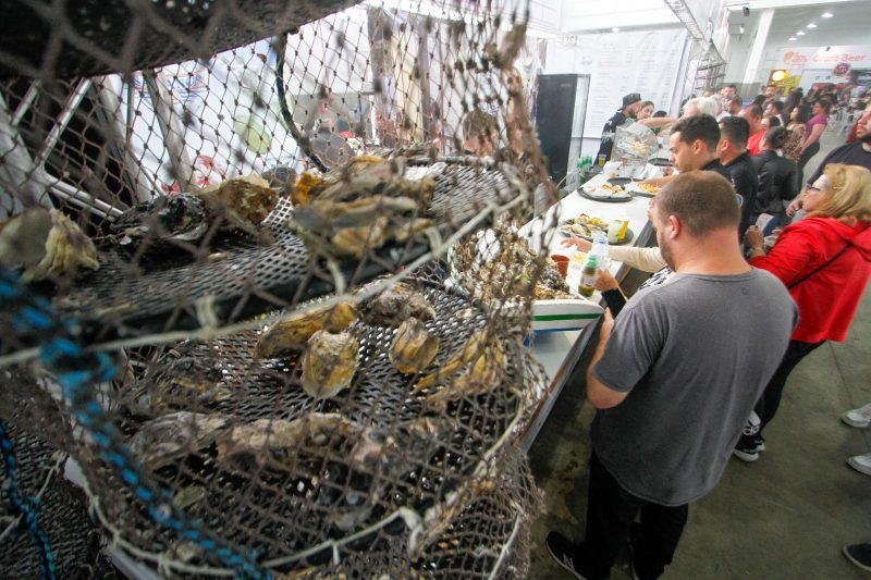 Fenaostra re&uacute;ne fam&iacute;lias em sua 21&ordf; edi&ccedil;&atilde;o – Foto: Leo Munhoz/ND