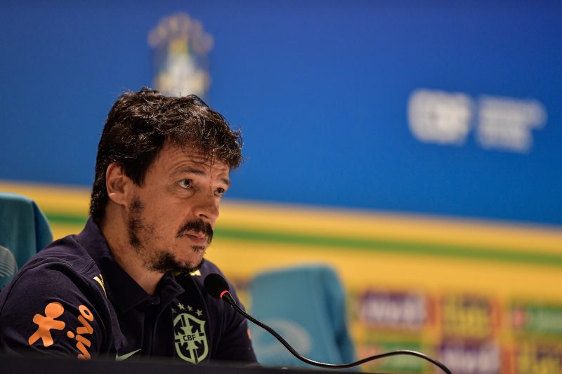 Fernando Diniz durante coletiva de imprensa da Seleção Brasileira