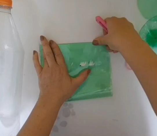 Ao fazer um telhado para hortas, Márcia utiliza material sustentável - Foto: MarciaCris/Divulgação/ND