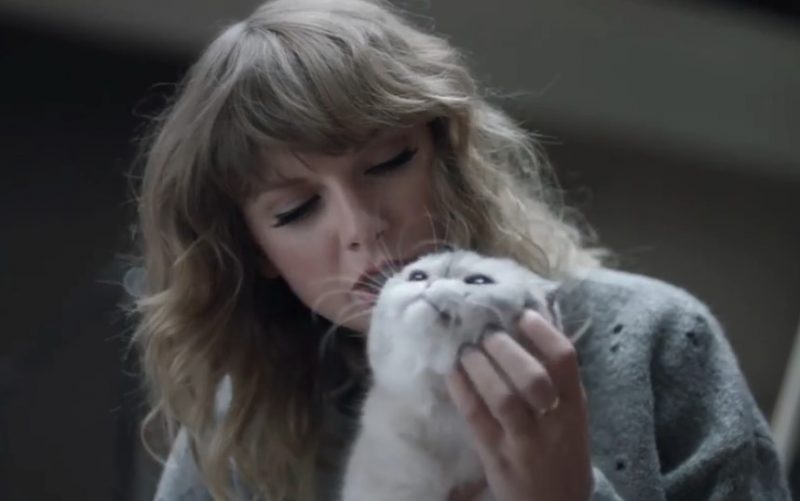 Taylor Swift acaricia sua gata Olivia Benson 