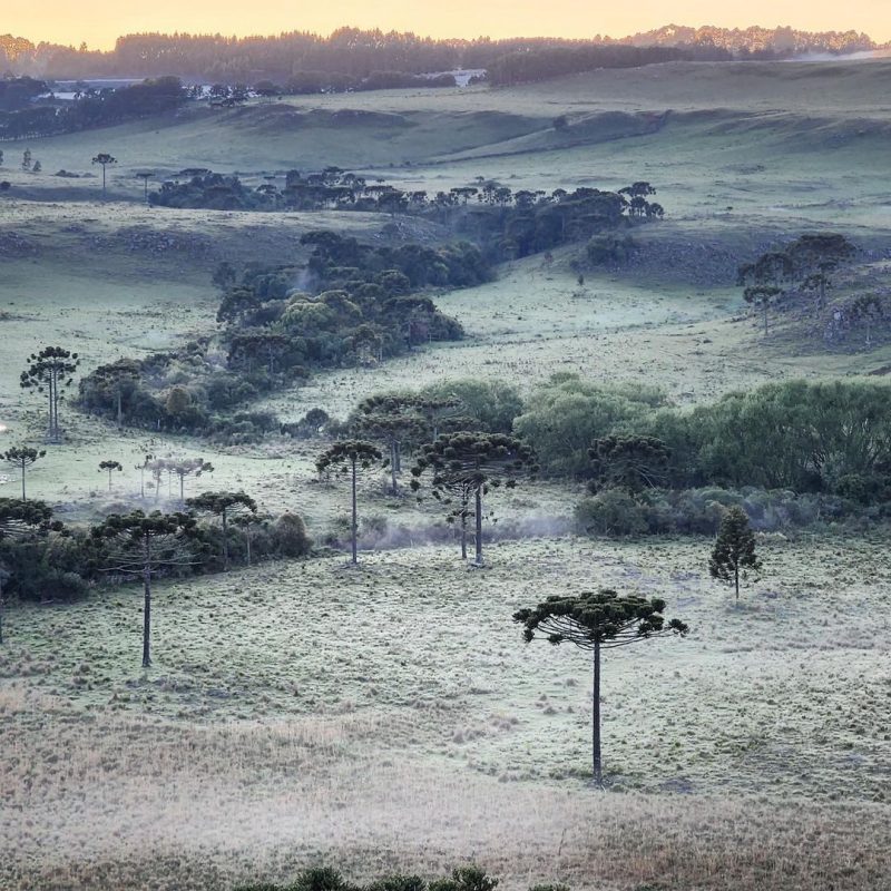 O avanço de uma frente fria com riscos de temporais chega nesse fim de semana ao estado &#8211; Foto: Mycchel Legnaghi/@saojoaquimonline.com.br/Reprodução/ND