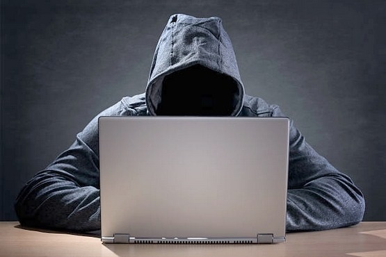 Valores somados dos leil&otilde;es falsos chegam a R$ 58 milh&otilde;es – Foto: Assessoria de Imprensa/NCI/ND