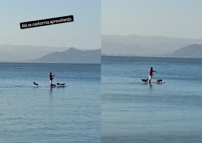 ‘O mar tá pra cão’: stand up com 4 cachorros faz sucesso e arranca olhares em Florianópolis