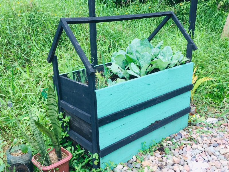 Rodrigo Resende Neves constr&oacute;i m&oacute;veis e enfeites de madeira usando palette e muita criatividade – Foto: Divulga&ccedil;&atilde;o/Reprodu&ccedil;&atilde;o/ND