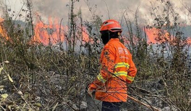 Incêndio no pantanal