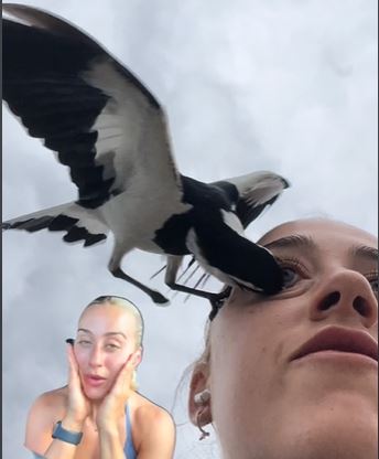 Momento exato da bicada da ave em olho de mulher que fazia video ao ar livre.