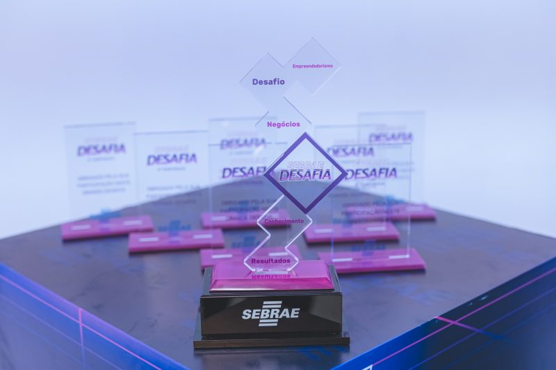 Em sua 3&ordf; temporada, o Sebrae Desafia &eacute; um reality show que re&uacute;ne empres&aacute;rios de Santa Catarina em um programa semanal – Foto: Jos&eacute; Somensi