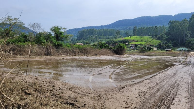 Perdas da agricultura de Rio do Sul revelam prejuízo milionário 
