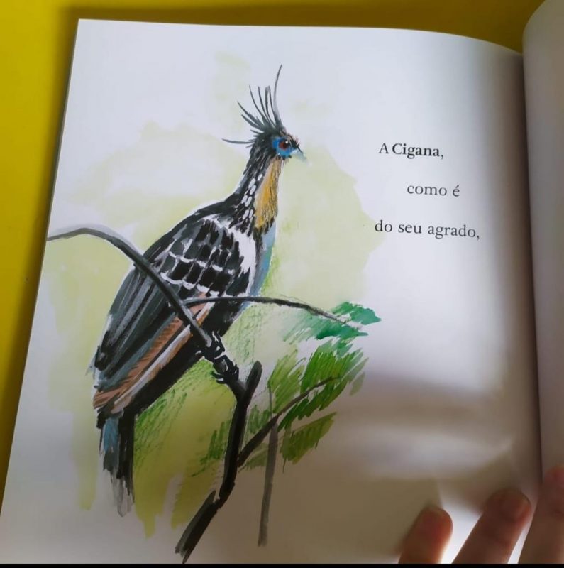 Trecho do livro "Voar na Imaginação" com ilustração de pássaro e poesia