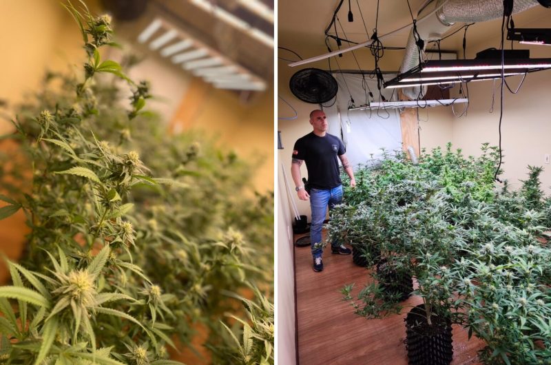 Mandados de busca e apreensão foram cumpridos também em Tijucas nesta quarta-feira (1º) - Foto: Polícia Civil/Divulgação/ND