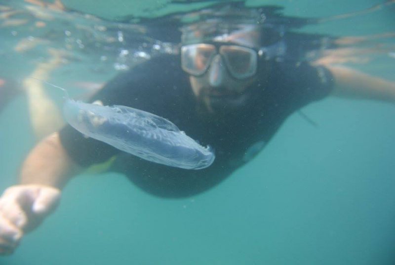 Foto submersa de mergulho na Ilha de Porto Belo. Um homem está no centro da imagem com o corpo submerso. Ele usa máscara de mergulho e olha em direção a uma alga, que está á sua frente. 