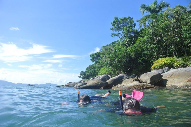 Foto de mergulho na Ilha de Porto Belo. No centro e na parte inferior da foto aparece o mar e duas crianças com máscara de mergulho e nadadeira pé de pato. Elas estão com a cabeça submersa na água. No canto direito da foto aparece um costão rochoso e árvores. 