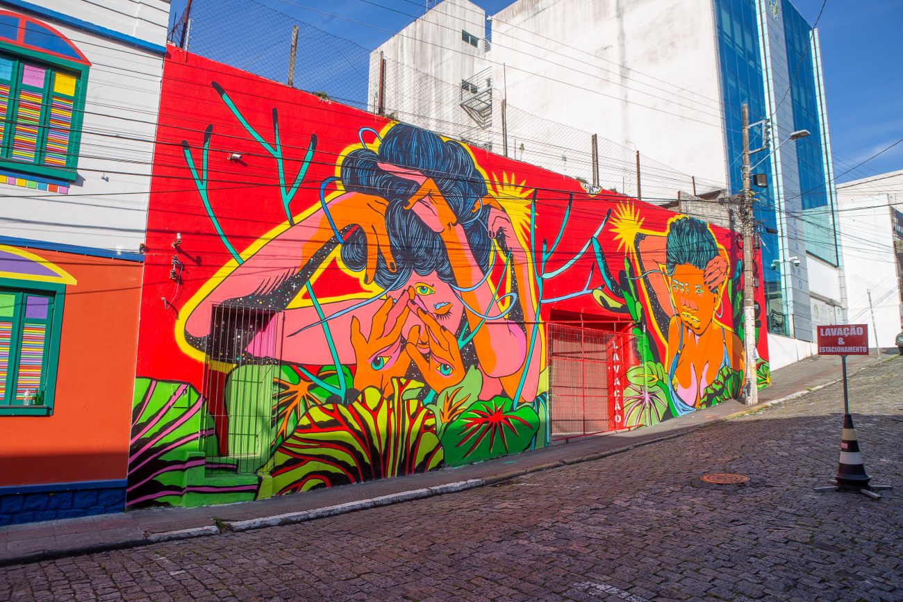 Na foto aparece uma pintura de uma parede com traços artísticos na última edição do festival em Florianópolis.