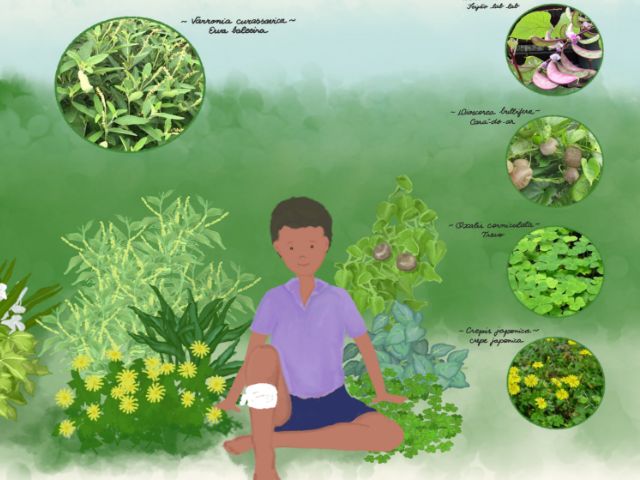 Livro serve como guia para reconhecimento das PANCs – Foto: Epagri/ND