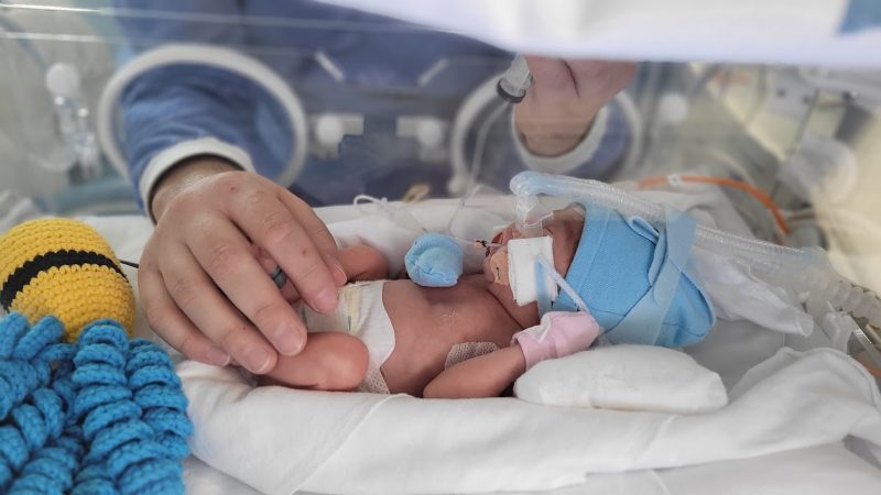 Baby Miguel in the neonatal intensive care unit of the Santa Catarina Hospital in Blumenau – Photo: Personal collection/Disclosure