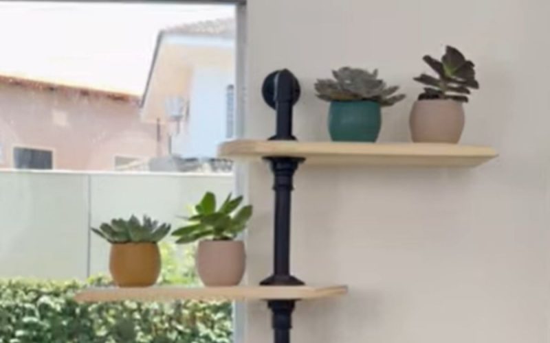 Prateleira giratória serve de decoração e também como suporte para plantas