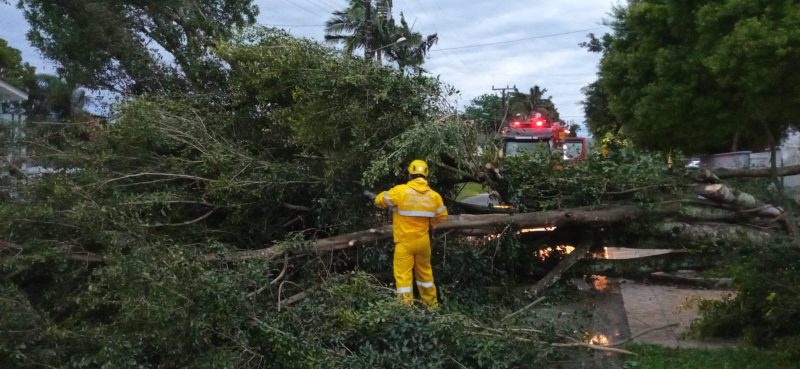 Bombeiros utilizaram duas motosserras para realizar o corte &#8211; Foto: Corpo de Bombeiros/Divulgação/ND