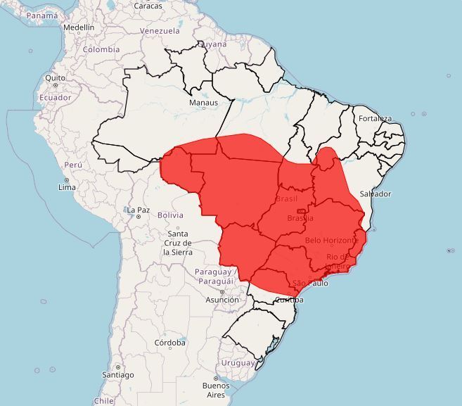 Estados do Brasil enfrentam onda de calor 