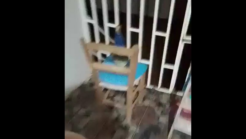 Nossa Senhora Aparecida em cima de uma cadeira na entrada da casa 