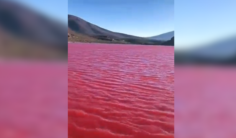 Mar de águas vermelhas