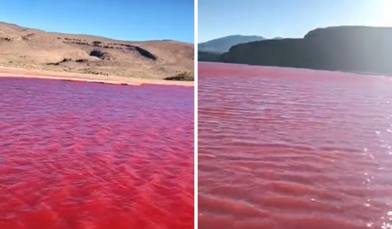 Água vermelha do rio nilo
