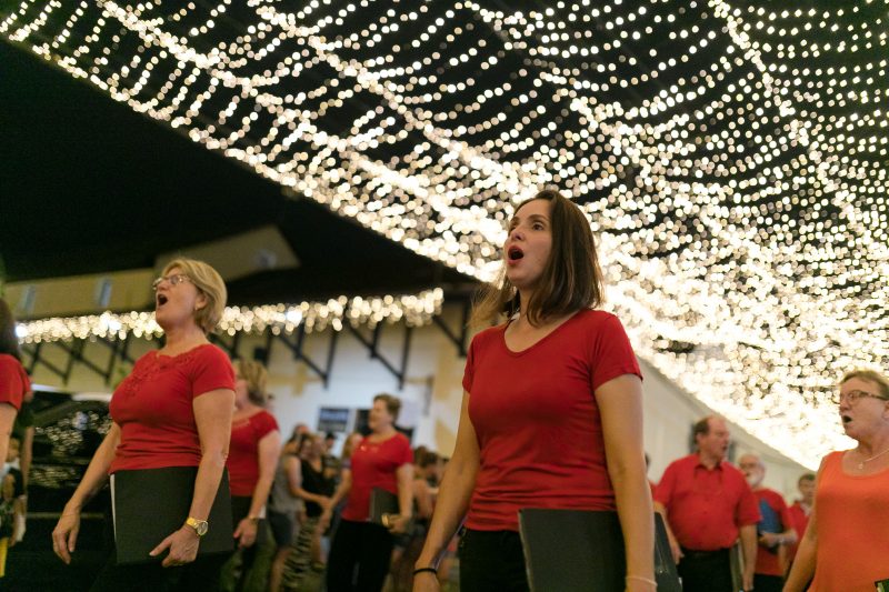 Tradicional túnel de luzes de Pomerode volta a ser atrações na Weihnachtfest - Dz fotografia/ND