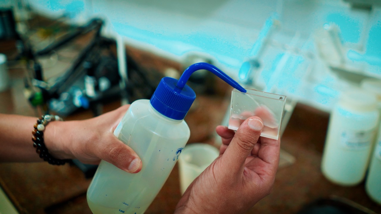 Samae technicians play a fundamental role in water purification in Blumenau – Reproduction/NDTV
