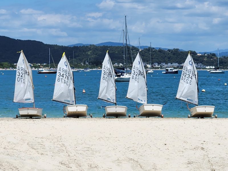 Brasileiros marcam presença no Sul-Americano de Optimist