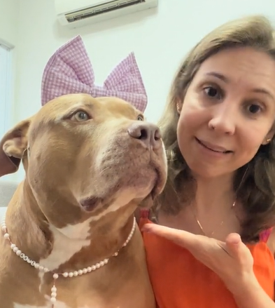 Zara um cachorra da raça Pit Bull tem vida de dar inveja a muitos - Foto: Zarapitt/Divulgação/ND