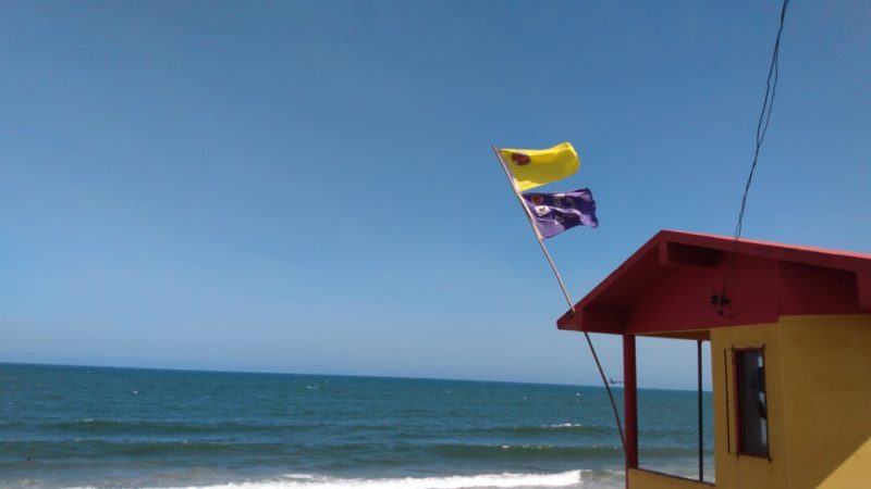 Bandeira lil&aacute;s no posto de guarda-vidas alerta para a presen&ccedil;a de &aacute;guas-vivas na praia – Foto: CBMSC/Divulga&ccedil;&atilde;o/ND