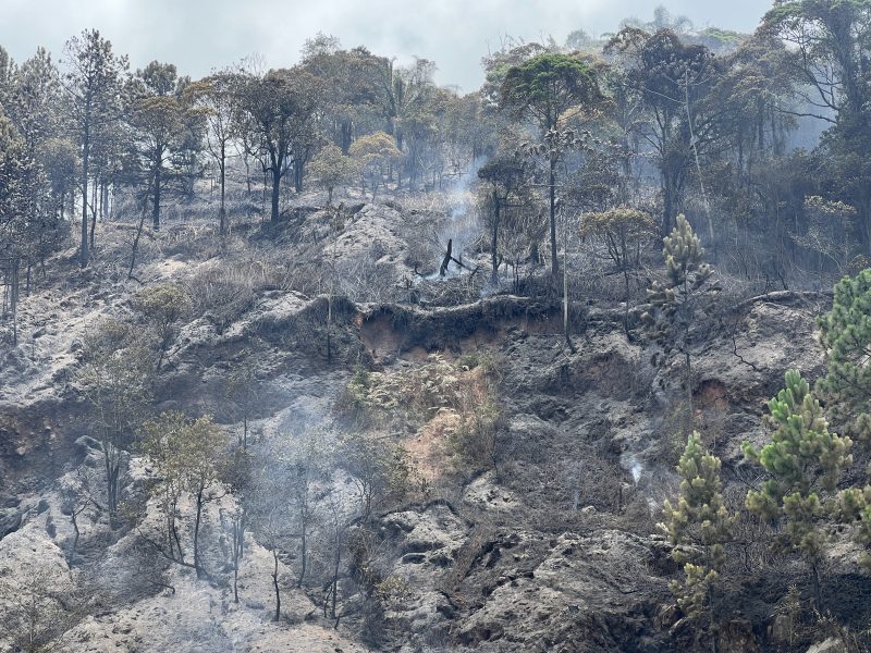 The fire affected an area of ​​5,500 m² – Photo: Eric Borges/ND