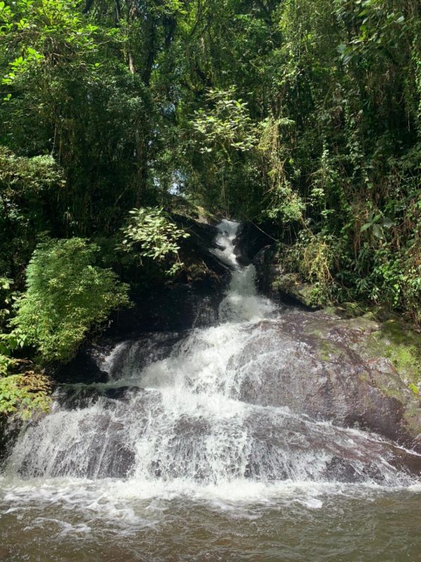 Cachoeira da Serraria, em Joinville. A cachoeira escorre em rochas que formam uma espécie de degrau. Ao redor dela há muita vegetação verde. É possível ver a luz solar em parte da queda d'água. A cachoeira termina em um poço de água, onde é possível tomar banho. 