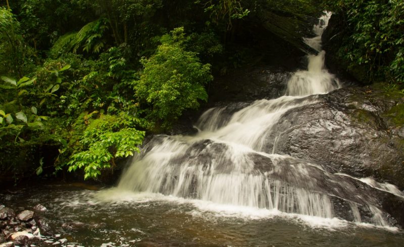 Foto da Cachoeira da Serraria, em Joinville. A cachoeira escorre por um paredão rochoso em meio à mata. No canto esquerdo aparecem folhagens verdes. Ela termina em um poço de água clara onde é possível tomar banho. 