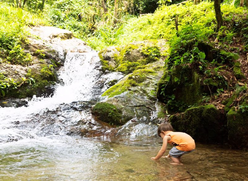 Foto da Queda do Jacu, na Estrada Bonita, em Joinville. No canto esquerdo da foto aparece a pequena cascata de dois metros escorrendo por entre pedras. Ao redor dela aprecem algumas vegetações rasteiras. No canto direito e inferior da foto, um menino de poucos anos de idade está abaixado com as mãos na água. 