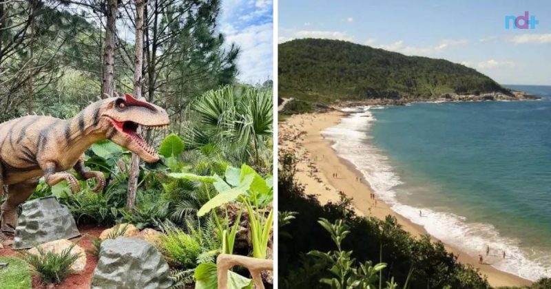 Fotomontagem mostra praia de naturalismo em Balneário Camboriú e dinossauro do parque Aventura Jurássica