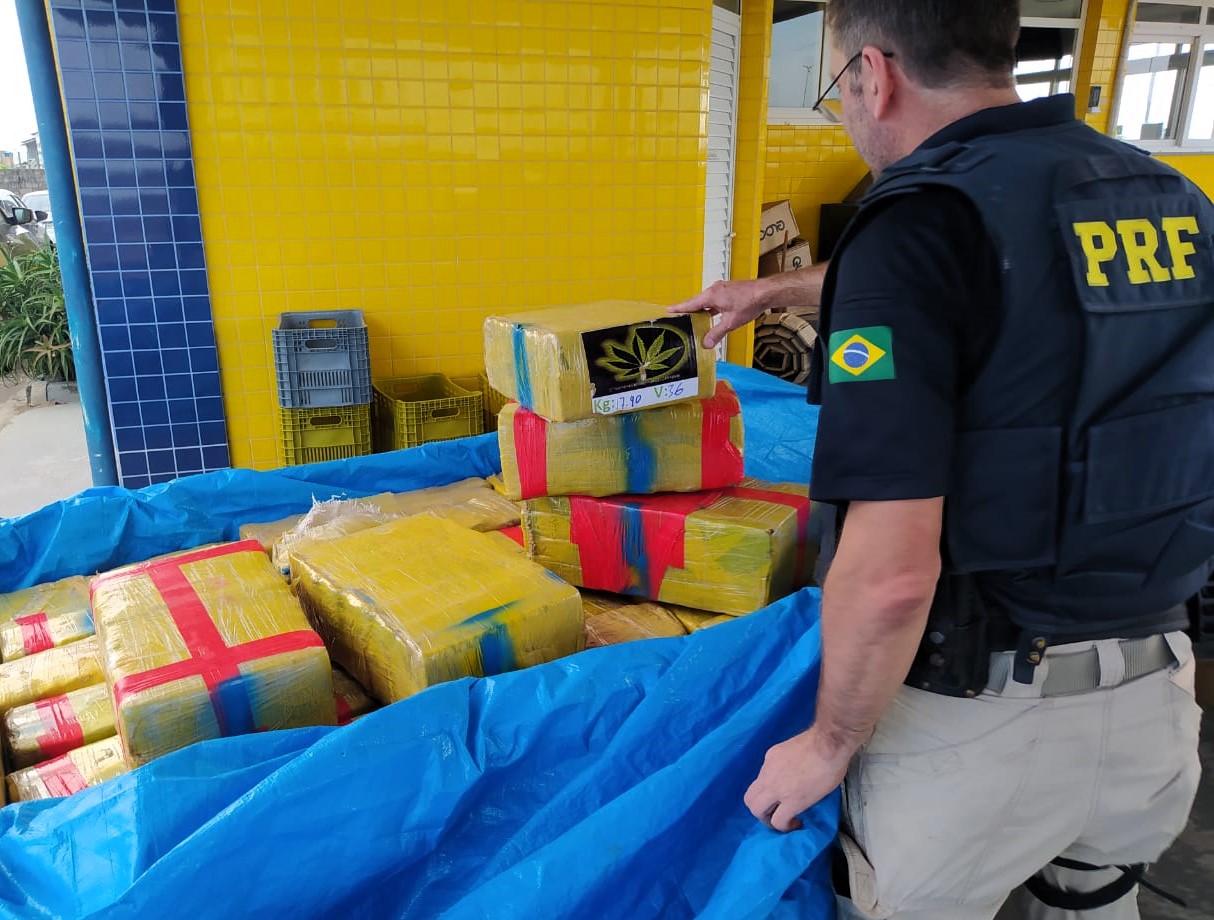 28 packages were found with a total weight of 506.5 kg - PRF/Divulgação/ND